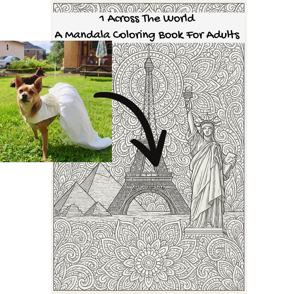 1 Across The World: A Mandala Coloring Book For Adults