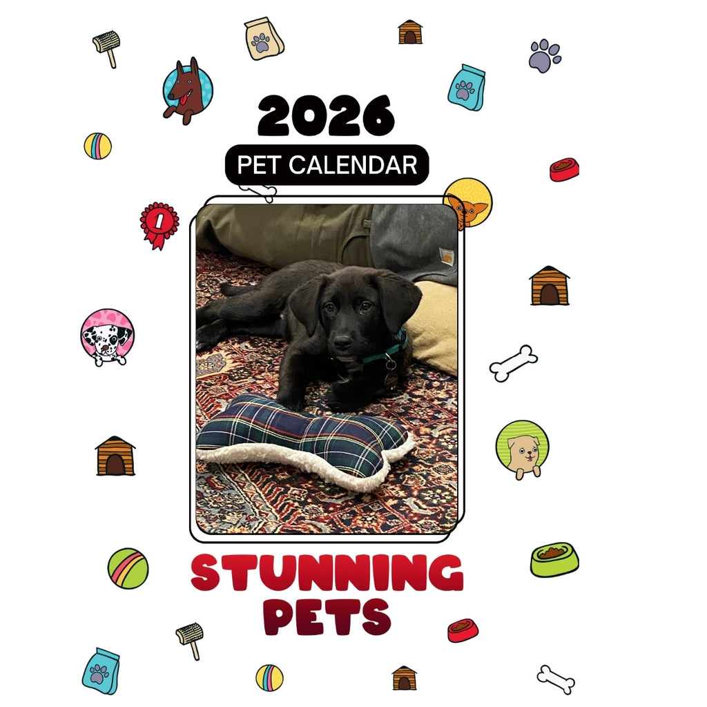 2 Headlines Stunning Pets: A 2026 Pet Calendar