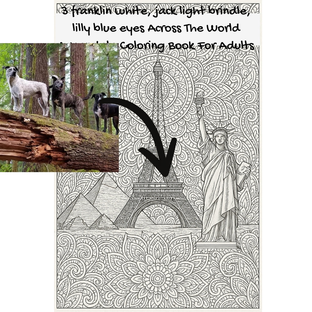 3 franklin white, jack light brindle, lilly blue eyes Across The World: A Mandala Coloring Book For Adults