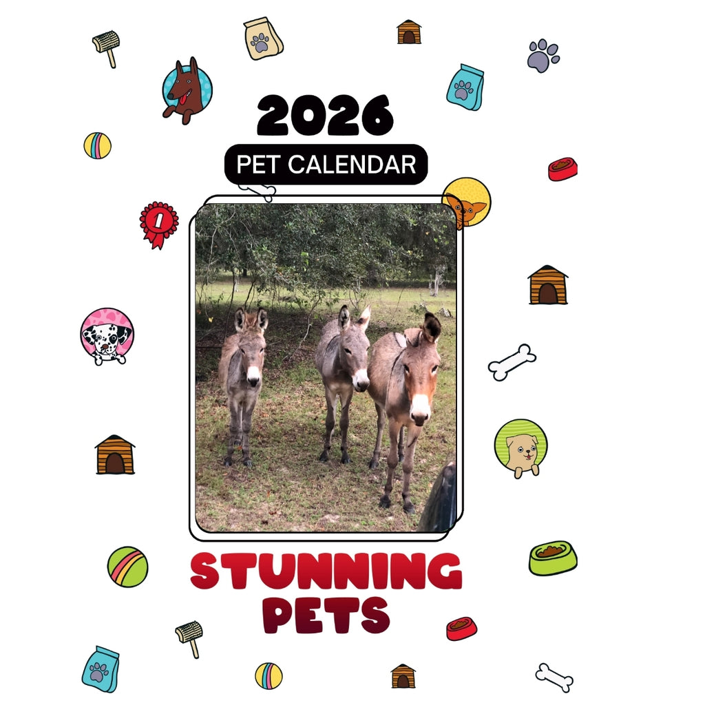 3 Stooges Headlines Stunning Pets: A 2026 Pet Calendar