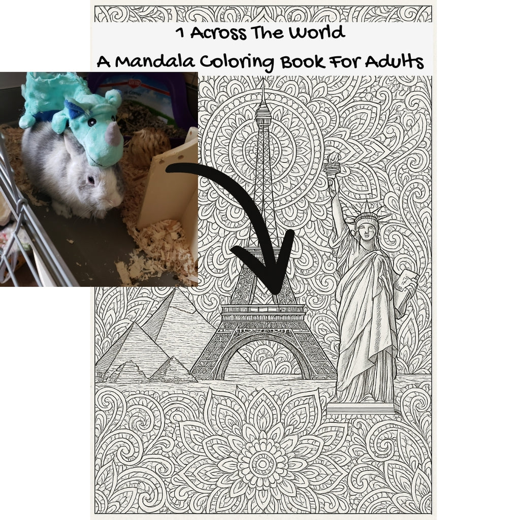 1 Across The World: A Mandala Coloring Book For Adults