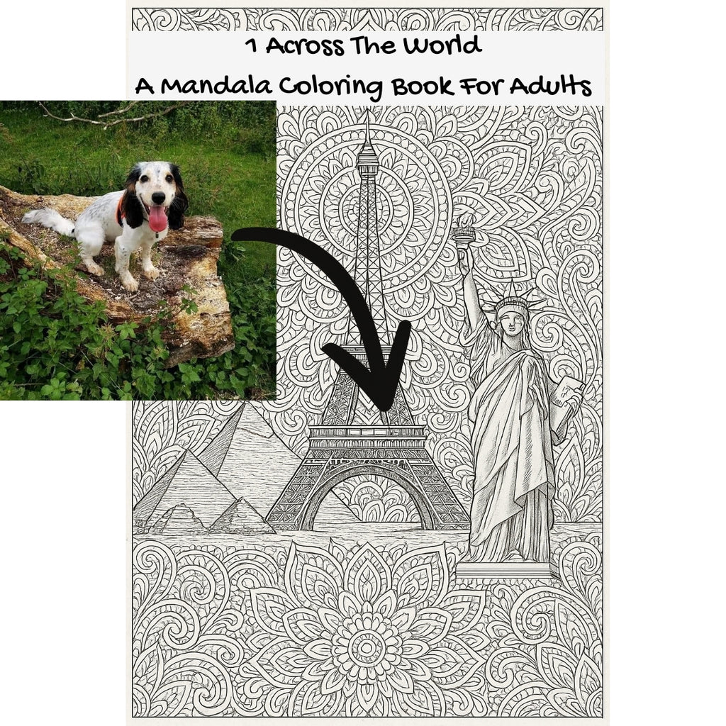 1 Across The World: A Mandala Coloring Book For Adults