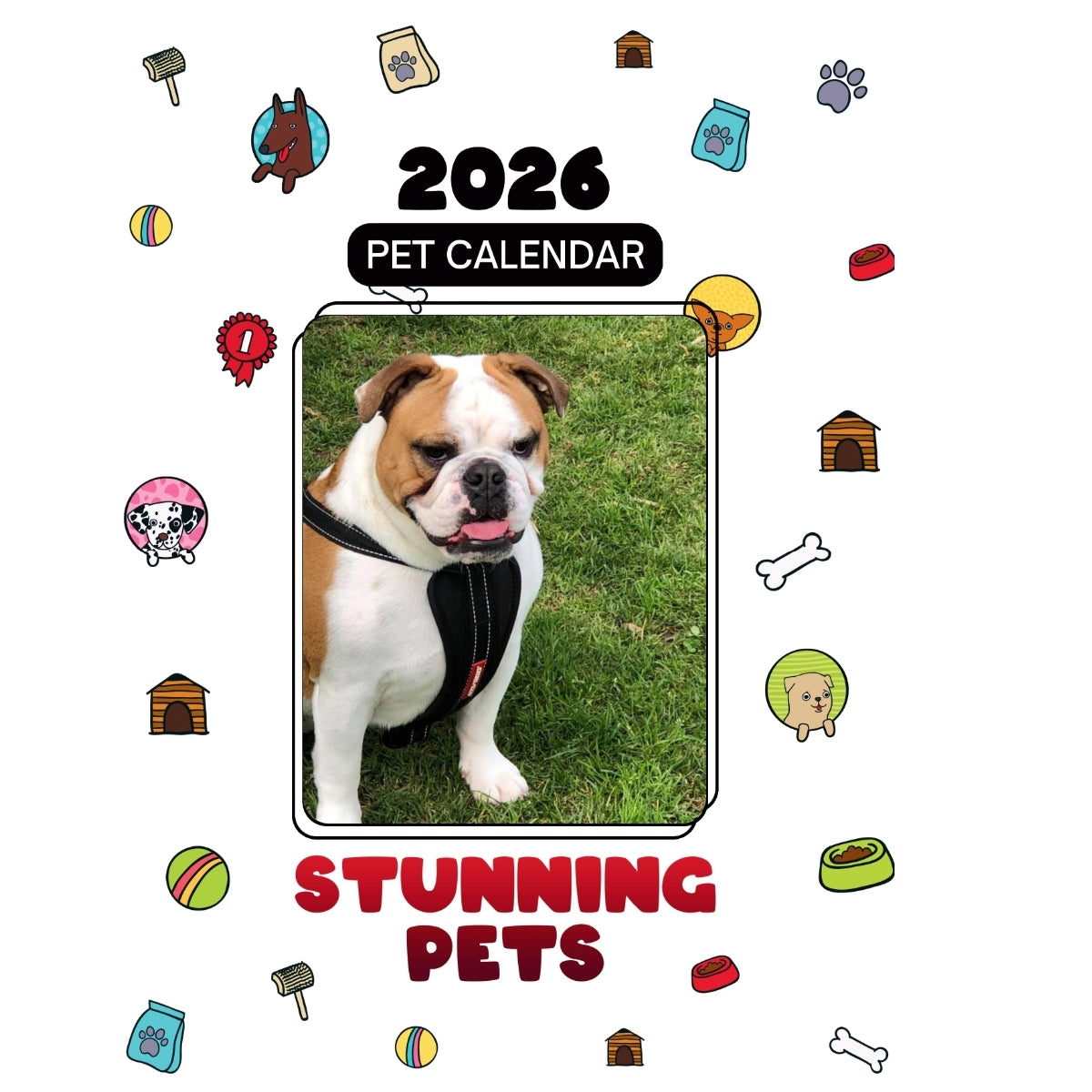 British Bulldog Headlines Stunning Pets: A 2026 Pet Calendar