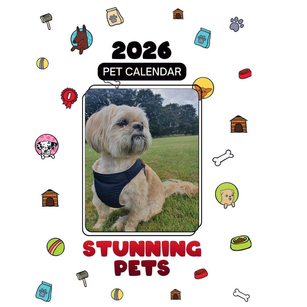 1 Headlines Stunning Pets: A 2026 Pet Calendar