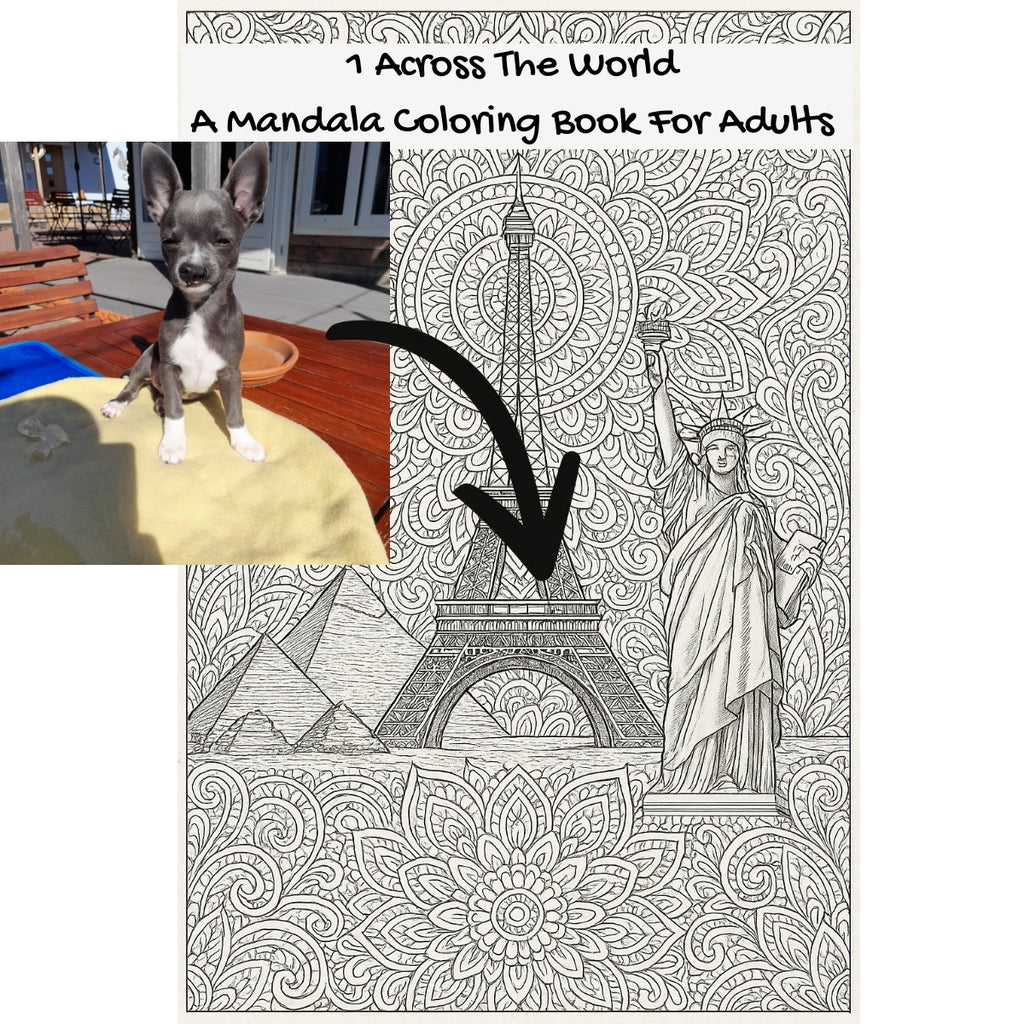 1 Across The World: A Mandala Coloring Book For Adults