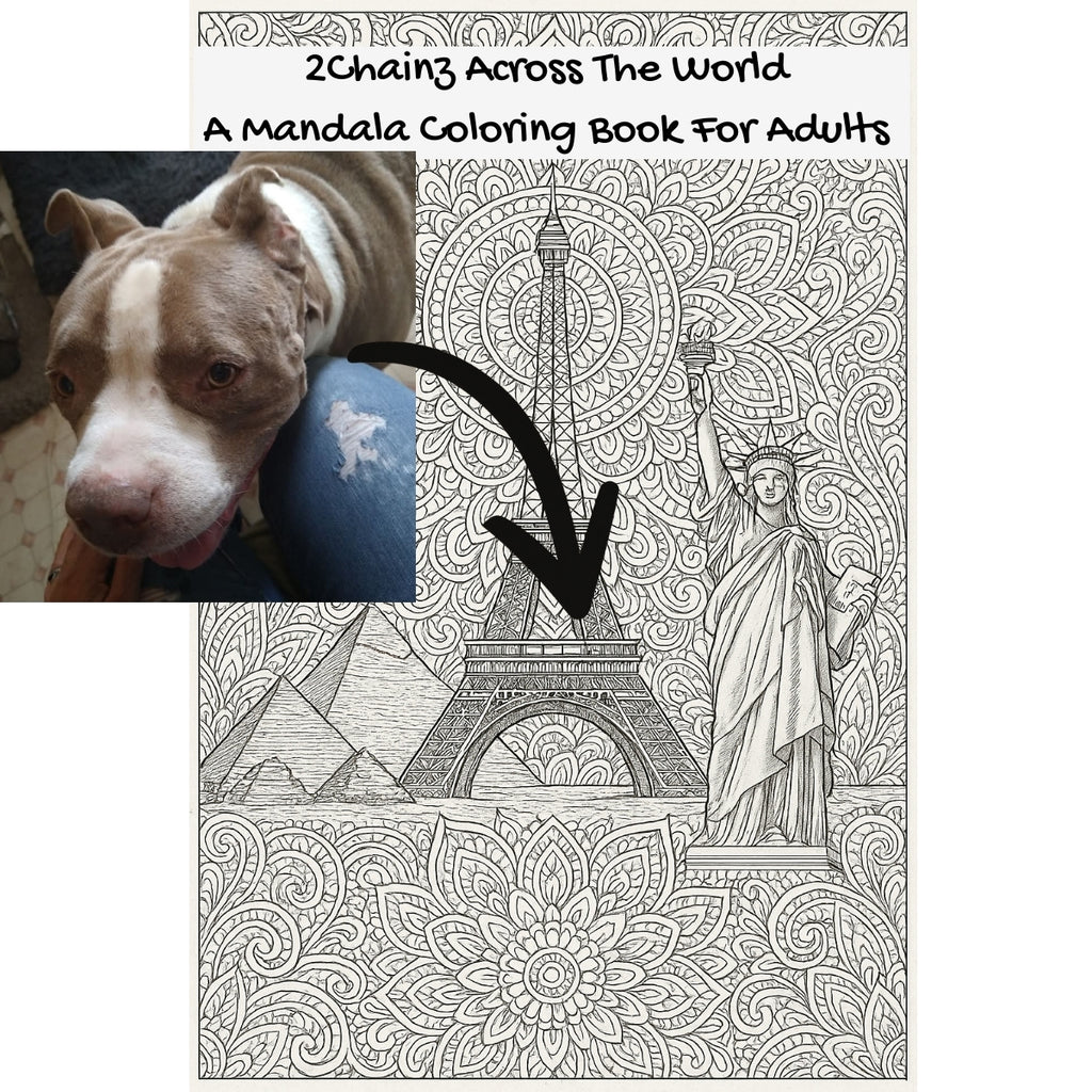 2Chainz Across The World: A Mandala Coloring Book For Adults