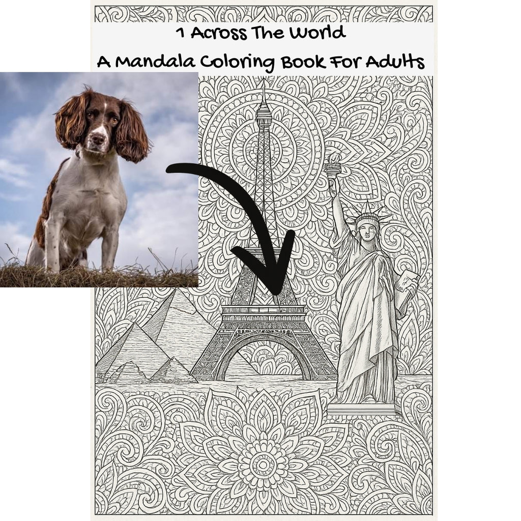 1 Across The World: A Mandala Coloring Book For Adults