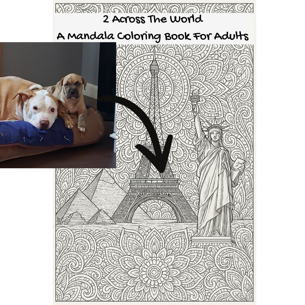 2 Across The World: A Mandala Coloring Book For Adults