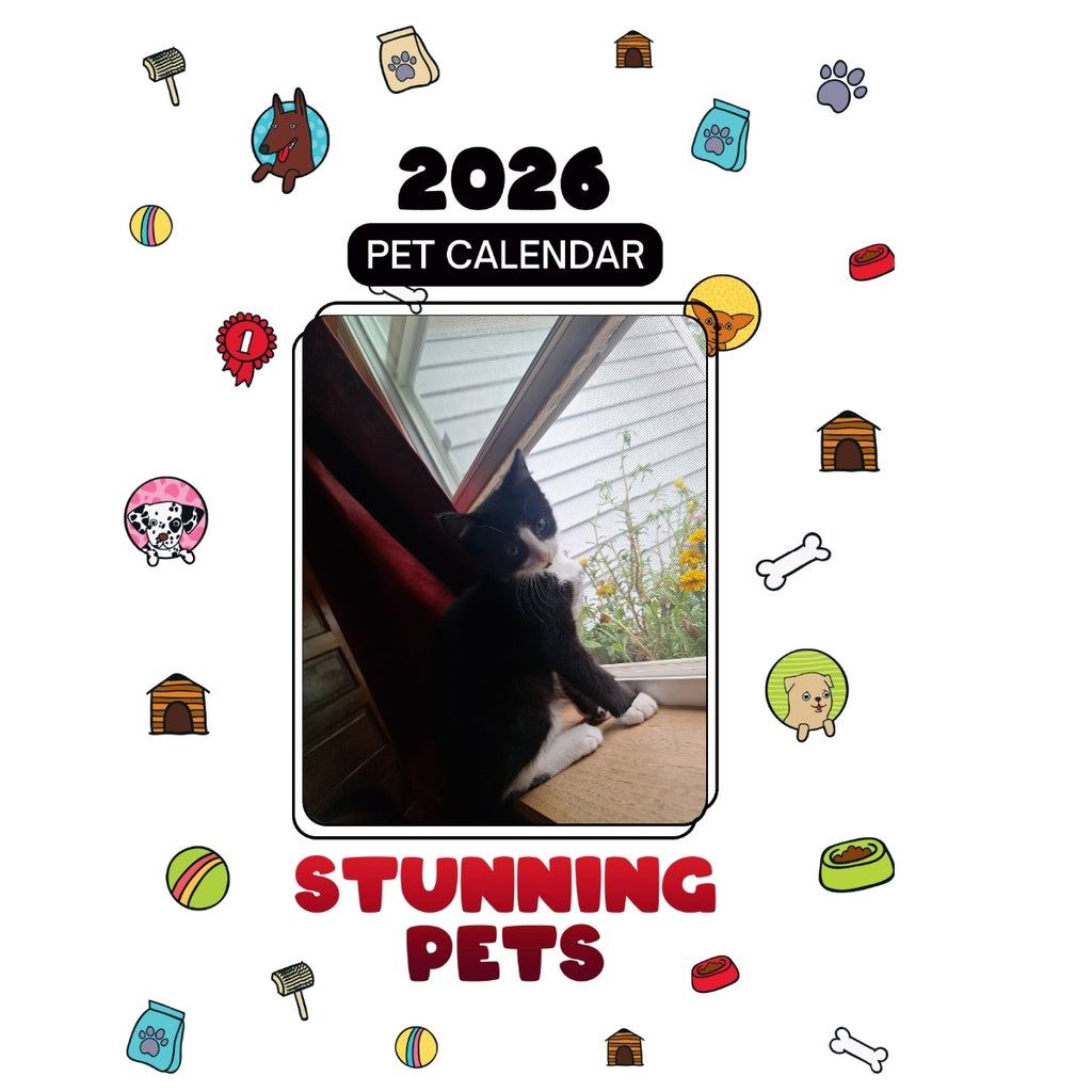 24 Headlines Stunning Pets: A 2026 Pet Calendar