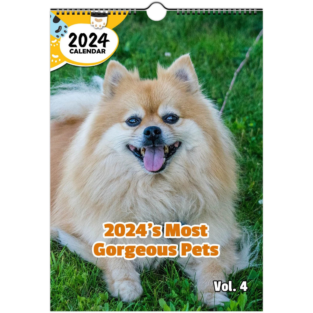 2024's Most Gorgeous Pets Volume Four: 2024 Wall Calendar (Published)