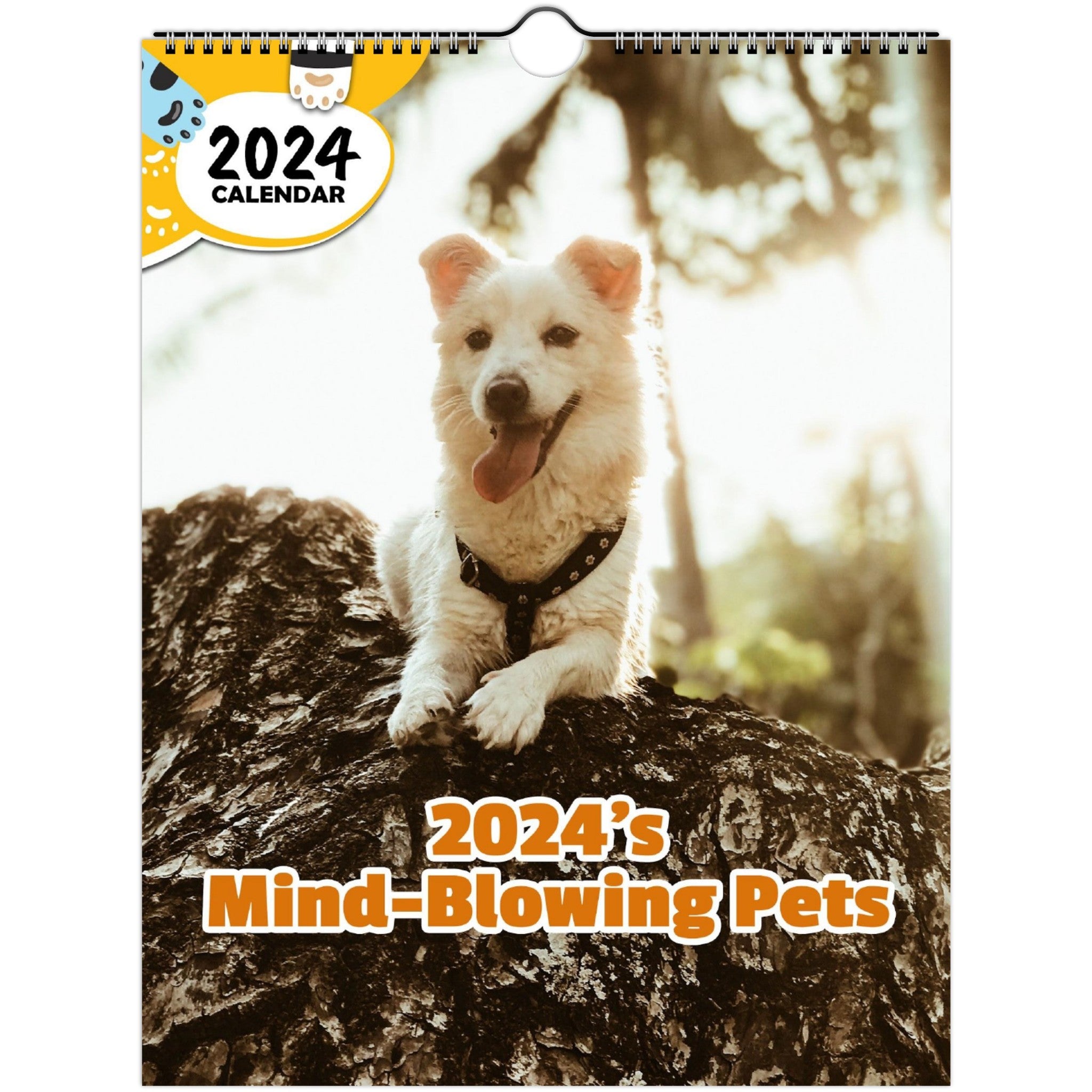 2024's Mind-Blowing Pets: 2024 Wall Calendar (Published)