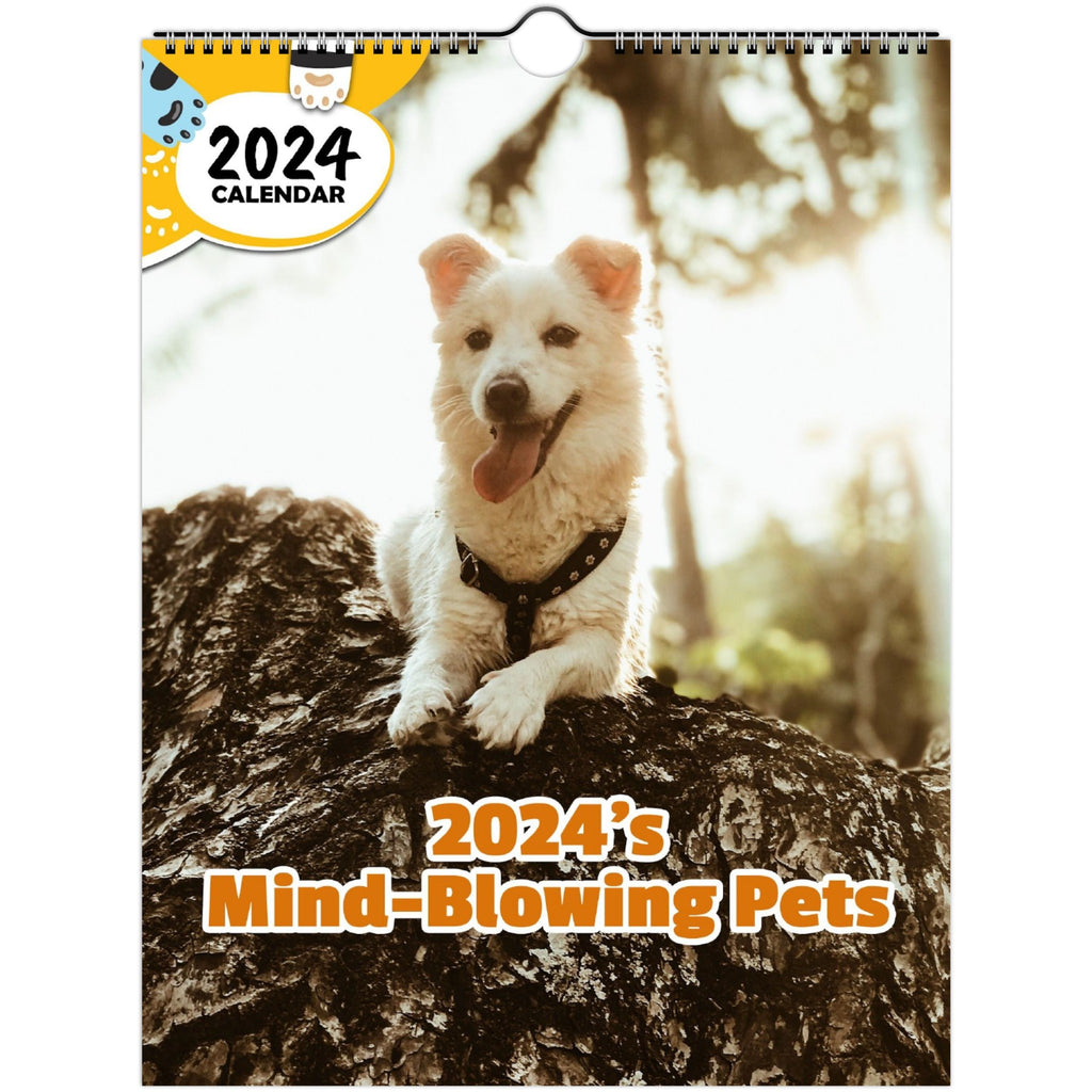 2024's Mind-Blowing Pets: 2024 Wall Calendar (Published)