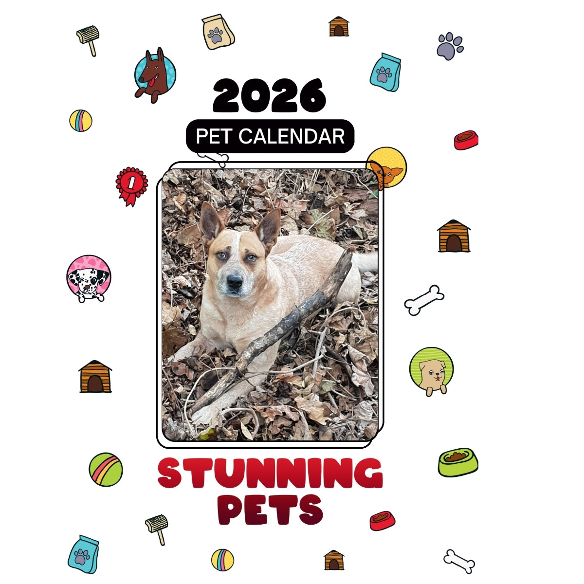 1 Headlines Stunning Pets: A 2026 Pet Calendar