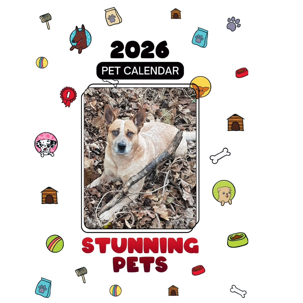 1 Headlines Stunning Pets: A 2026 Pet Calendar
