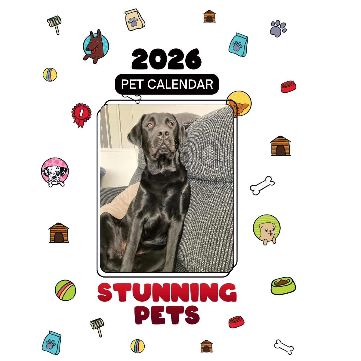 7727132881 Headlines Stunning Pets: A 2026 Pet Calendar