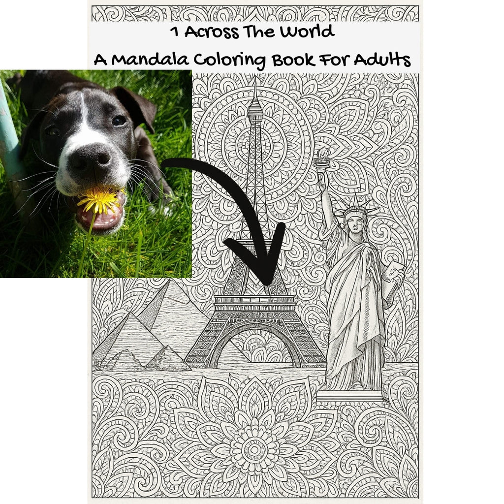 1 Across The World: A Mandala Coloring Book For Adults