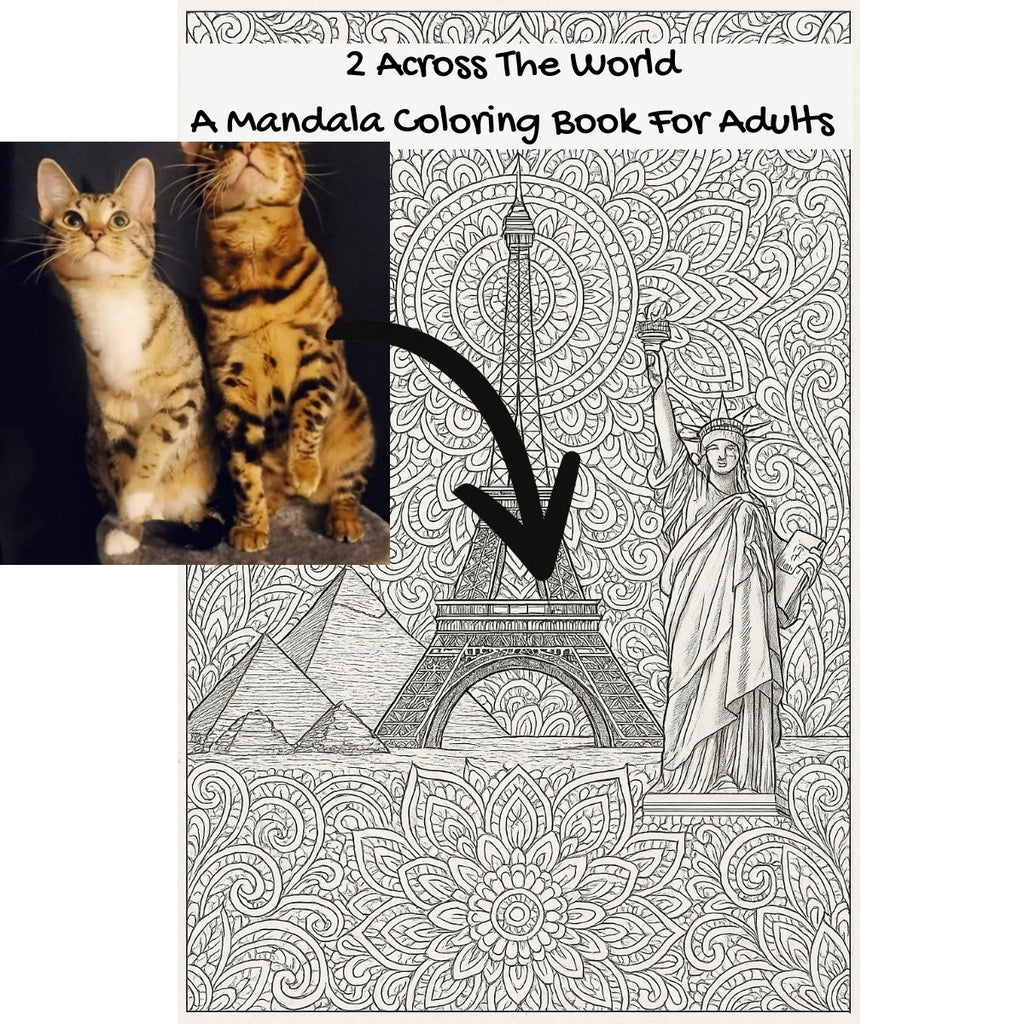 2 Across The World: A Mandala Coloring Book For Adults