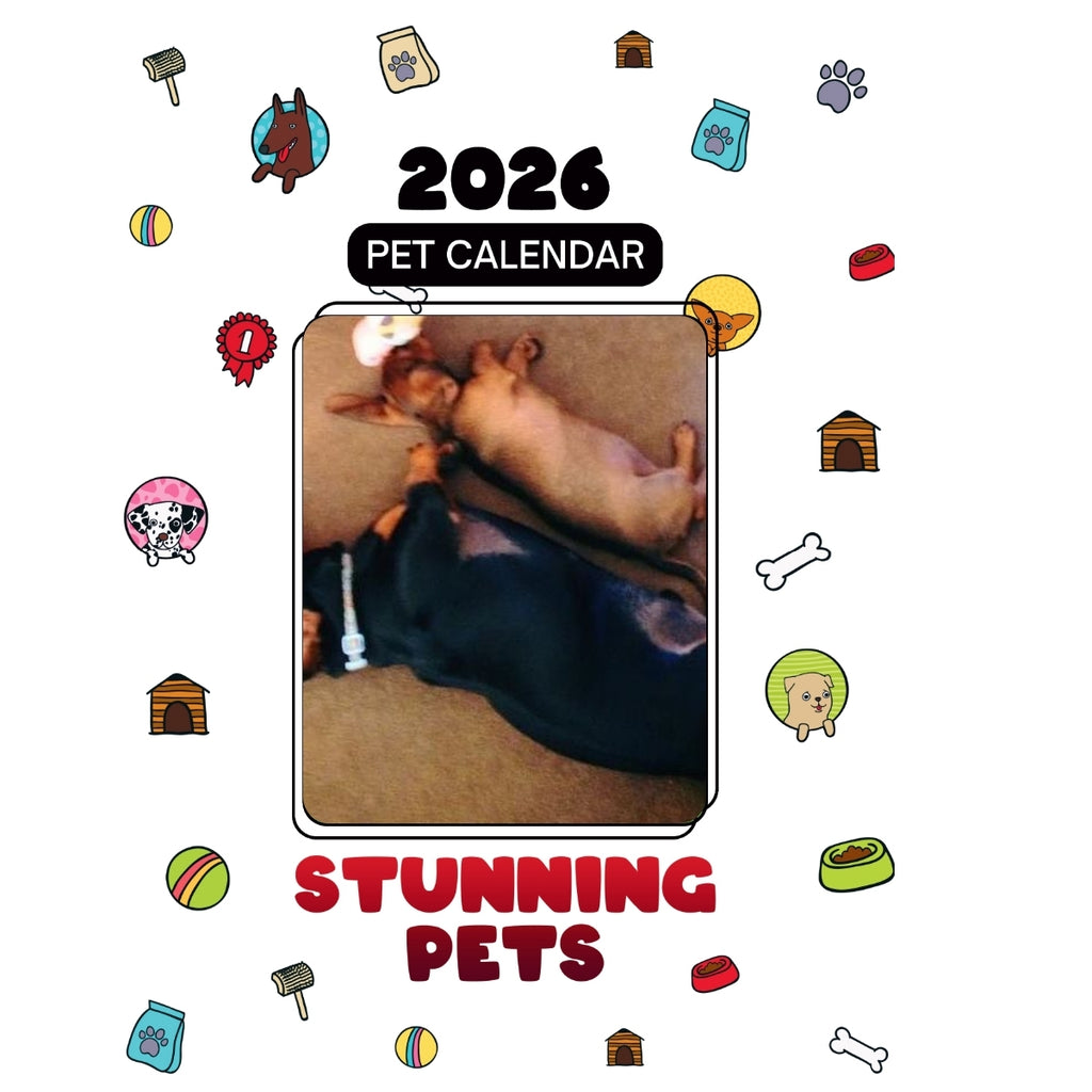 2 Headlines Stunning Pets: A 2026 Pet Calendar