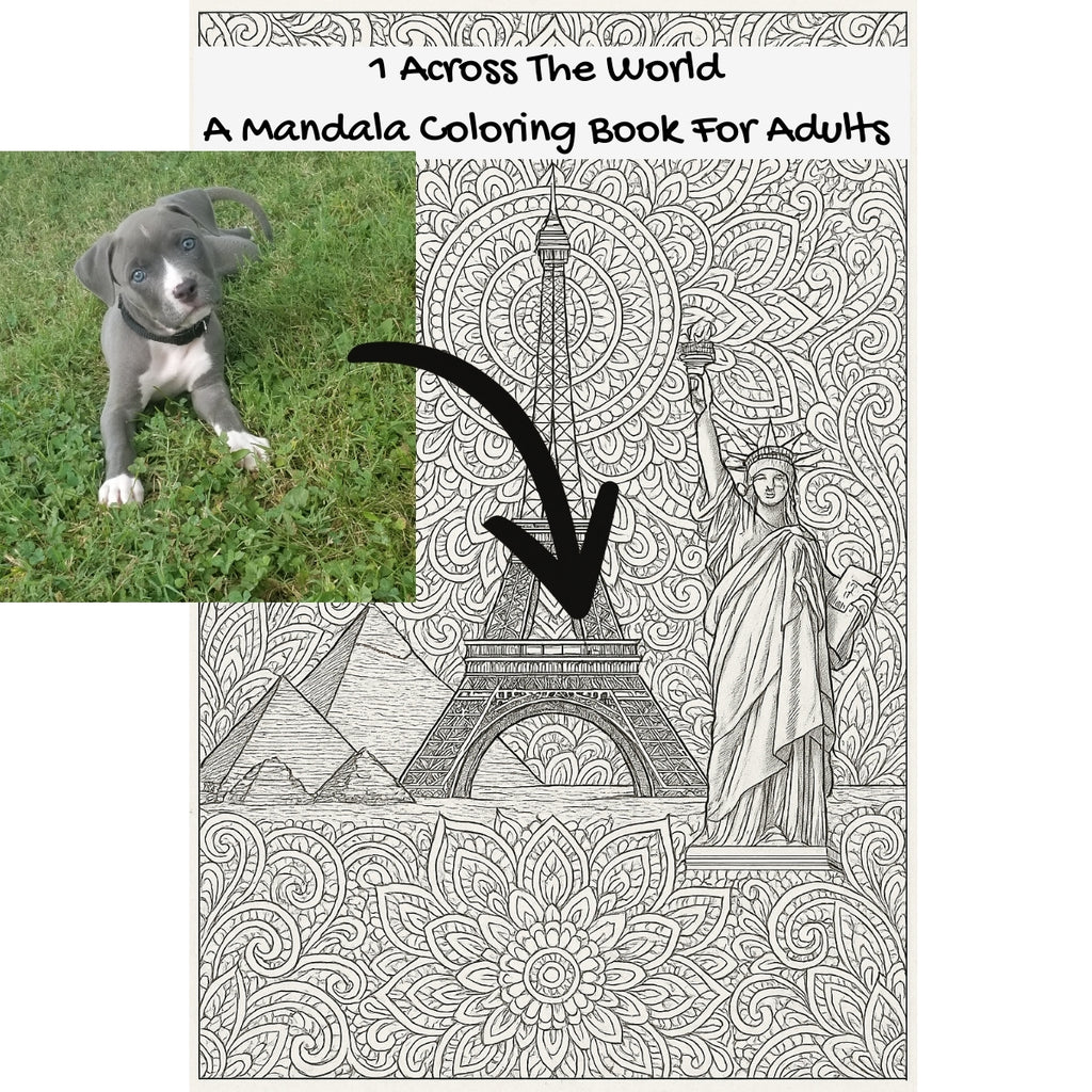 1 Across The World: A Mandala Coloring Book For Adults