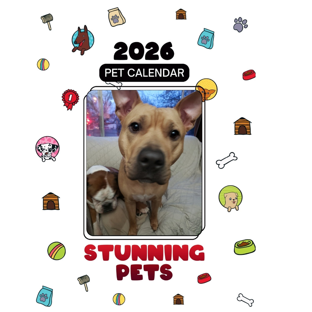 1 Headlines Stunning Pets: A 2026 Pet Calendar