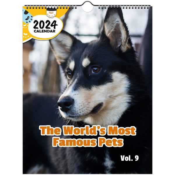 Top 9 New Dog Essentials - 2024