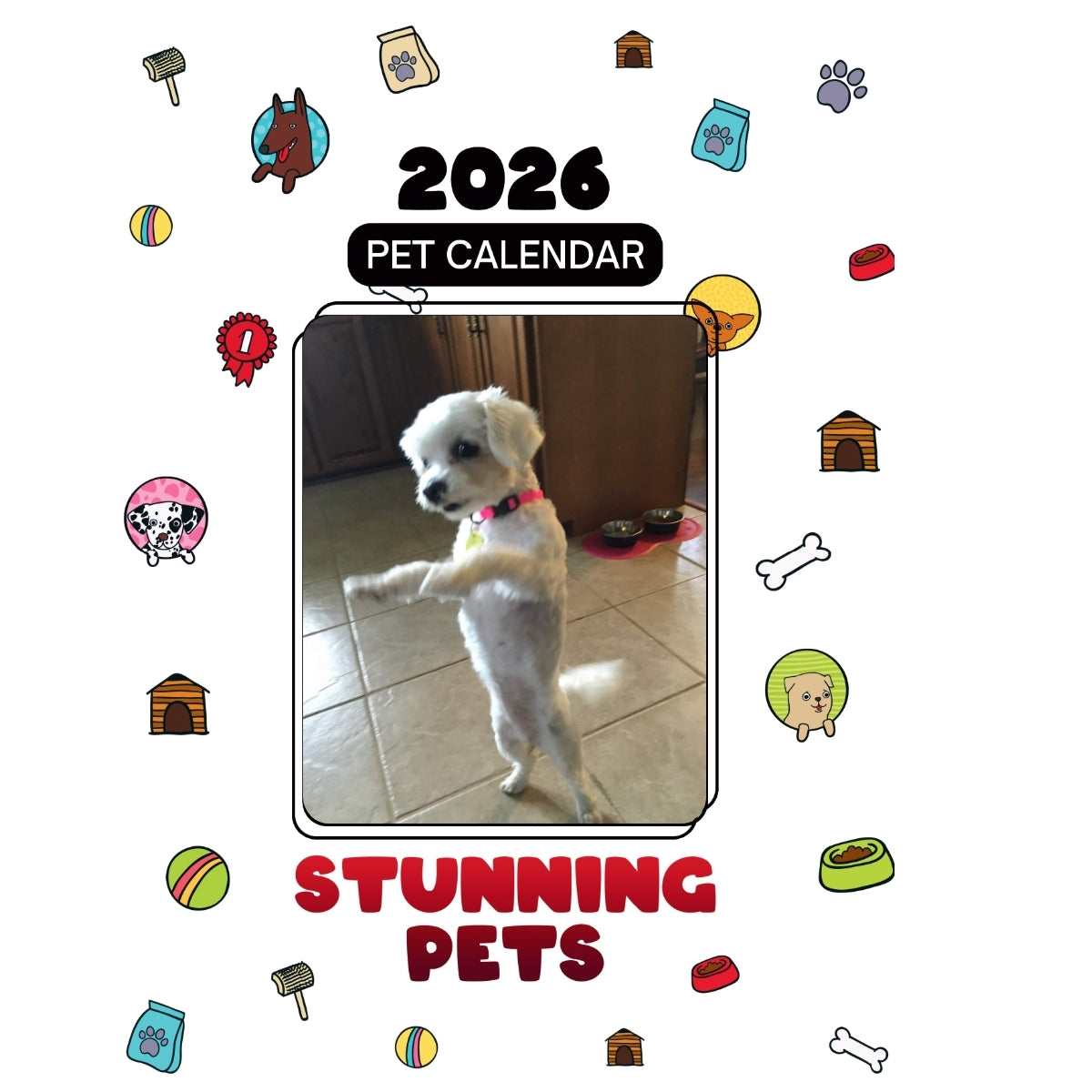 1 Headlines Stunning Pets: A 2026 Pet Calendar