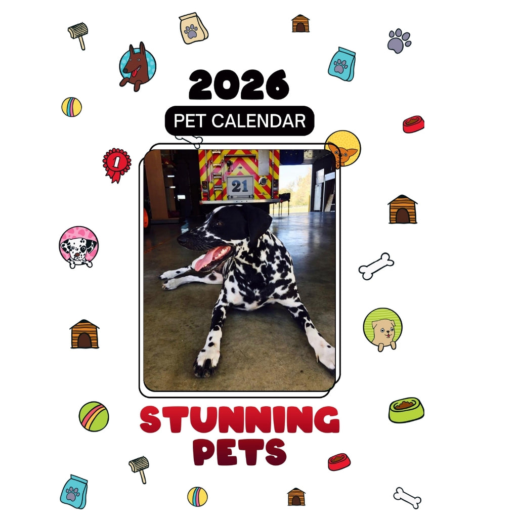 1 Headlines Stunning Pets: A 2026 Pet Calendar
