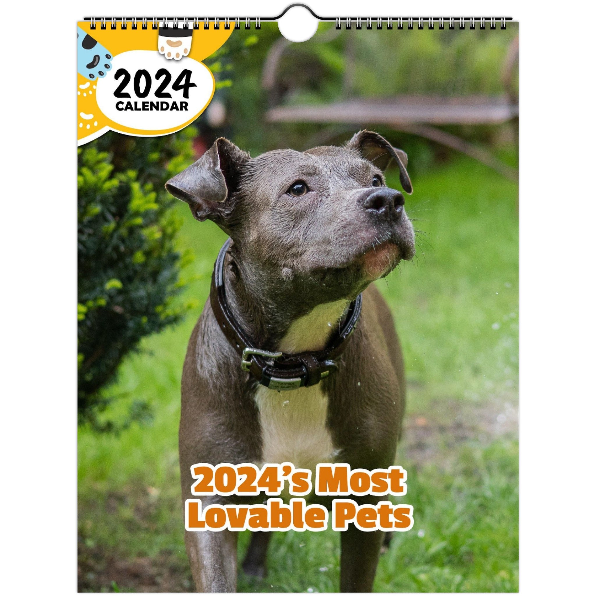 2024's Most Lovable Pets: 2024 Wall Calendar (Published)
