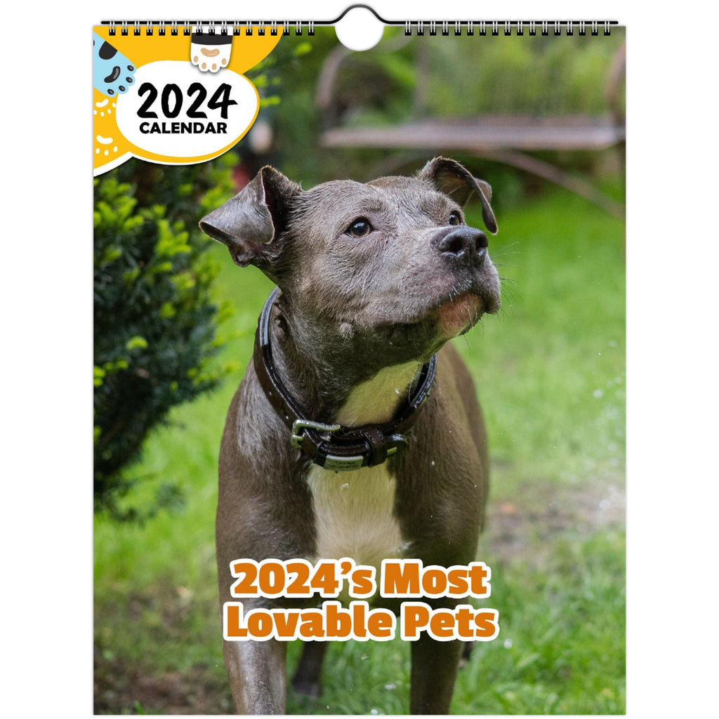 2024's Most Lovable Pets: 2024 Wall Calendar (Published)