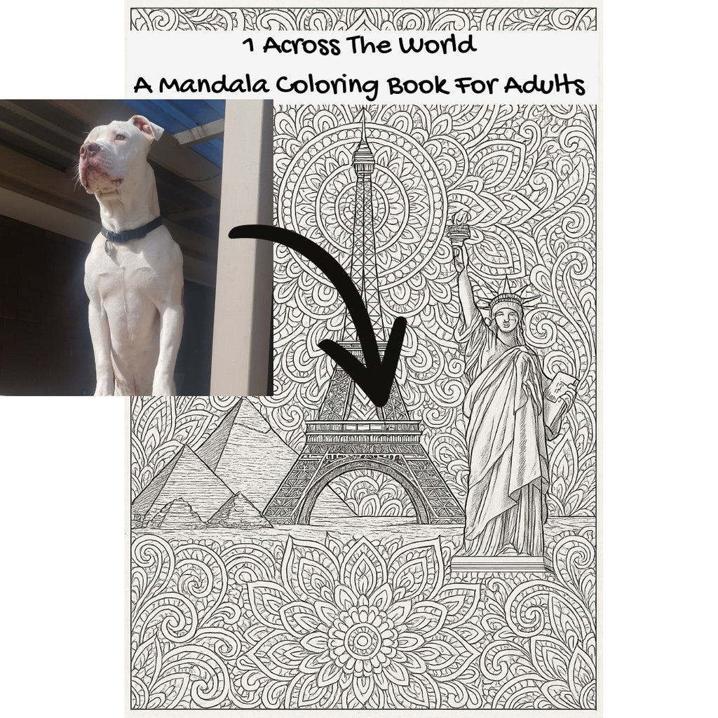 1 Across The World: A Mandala Coloring Book For Adults