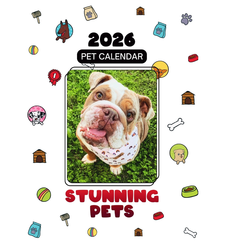 Daisy Jones The Bulldog Headlines Stunning Pets: A 2026 Pet Calendar