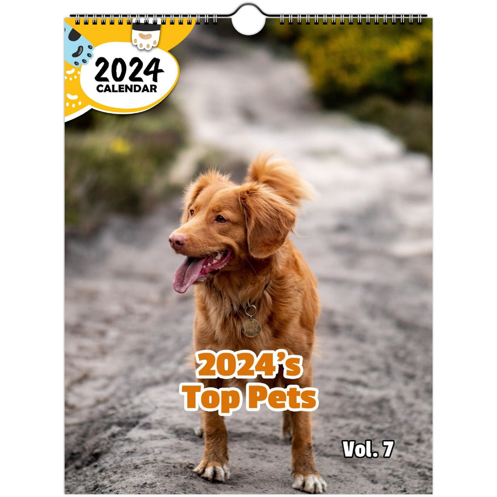 2024's Top Pets Volume Seven: 2024 Wall Calendar (Published)