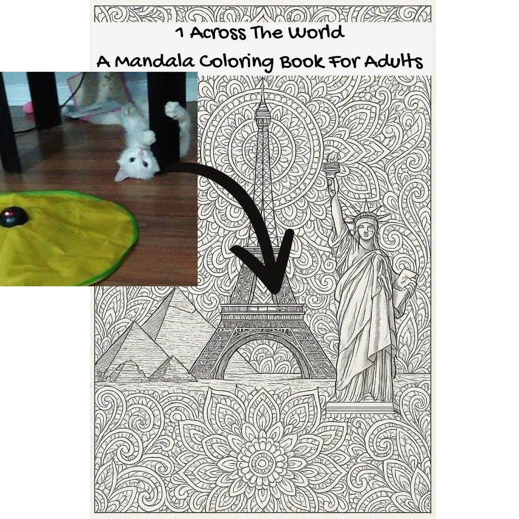 1 Across The World: A Mandala Coloring Book For Adults
