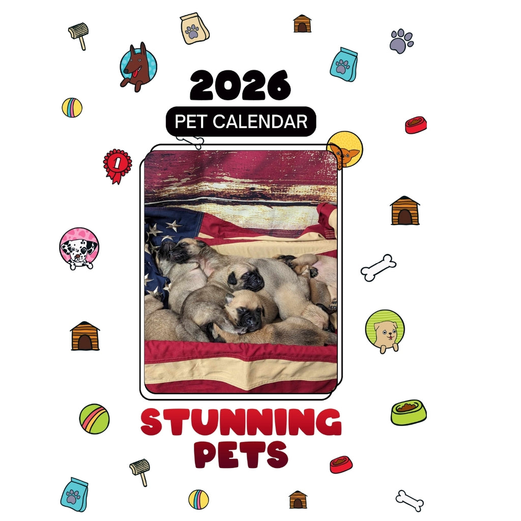 English Mastiff Puppies Headlines Stunning Pets: A 2026 Pet Calendar