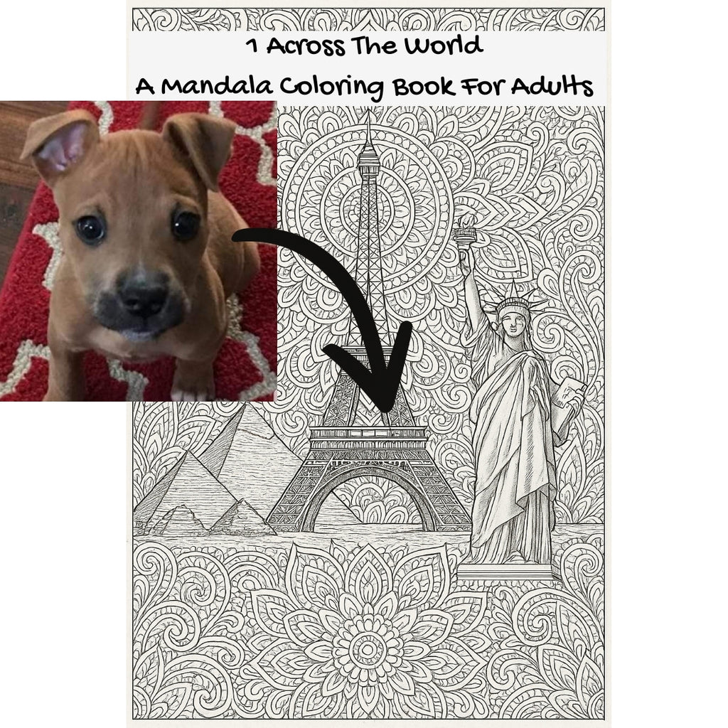 1 Across The World: A Mandala Coloring Book For Adults