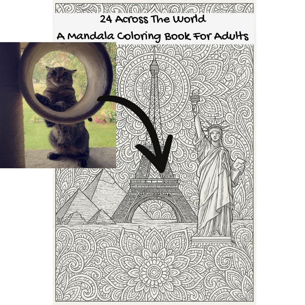 24 Across The World: A Mandala Coloring Book For Adults
