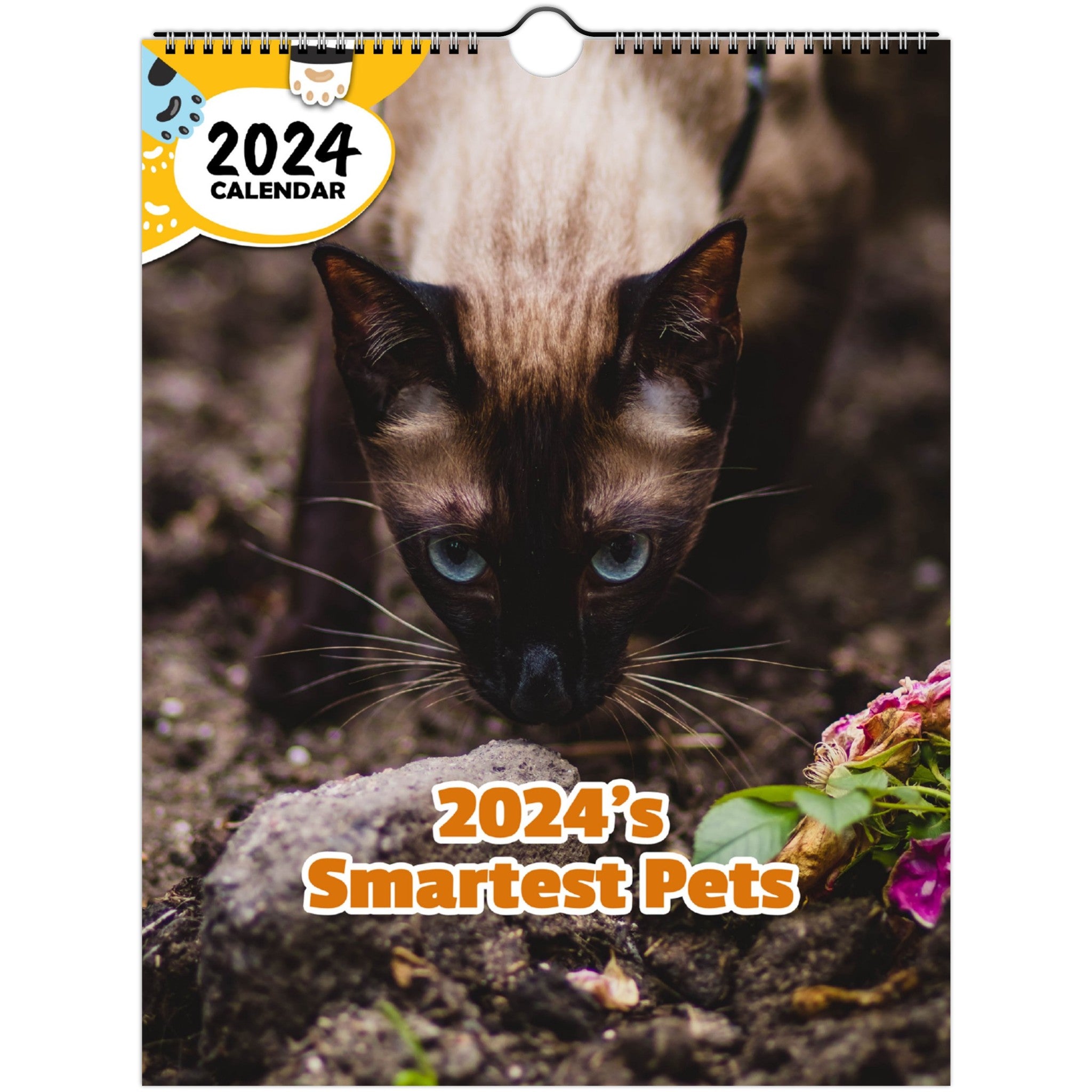 2024's Smartest Pets: 2024 Wall Calendar (Published)