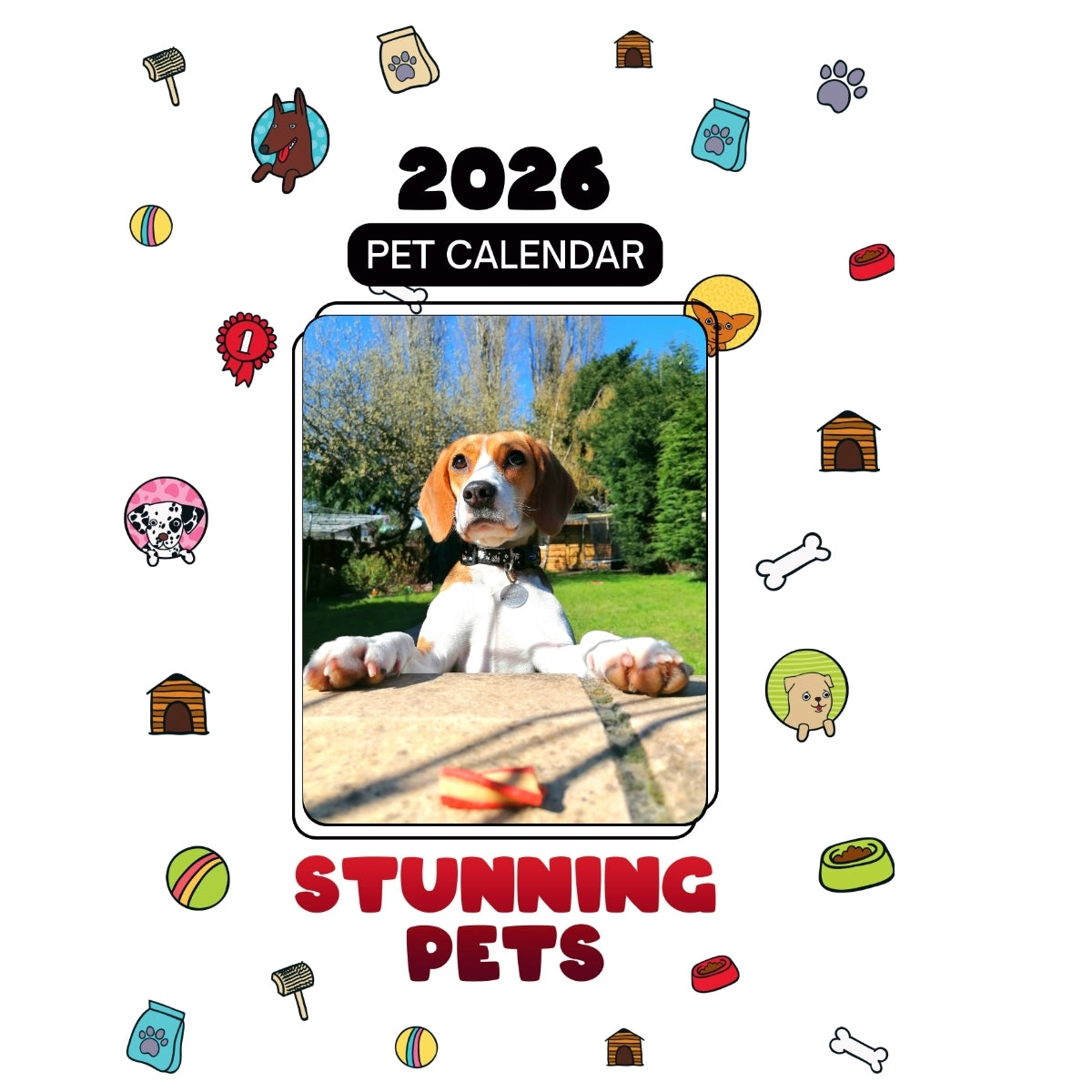 1 Headlines Stunning Pets: A 2026 Pet Calendar