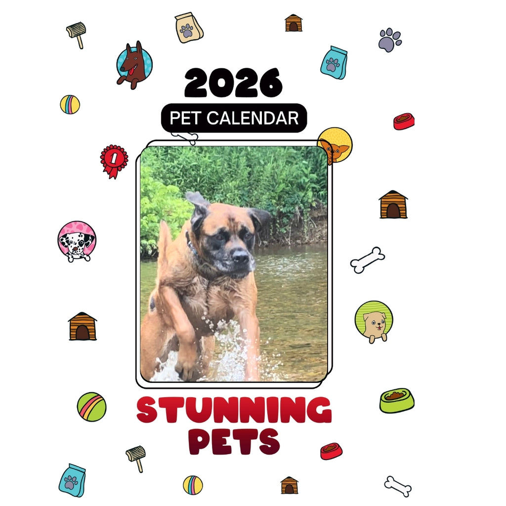 Thor English Mastiff Headlines Stunning Pets: A 2026 Pet Calendar