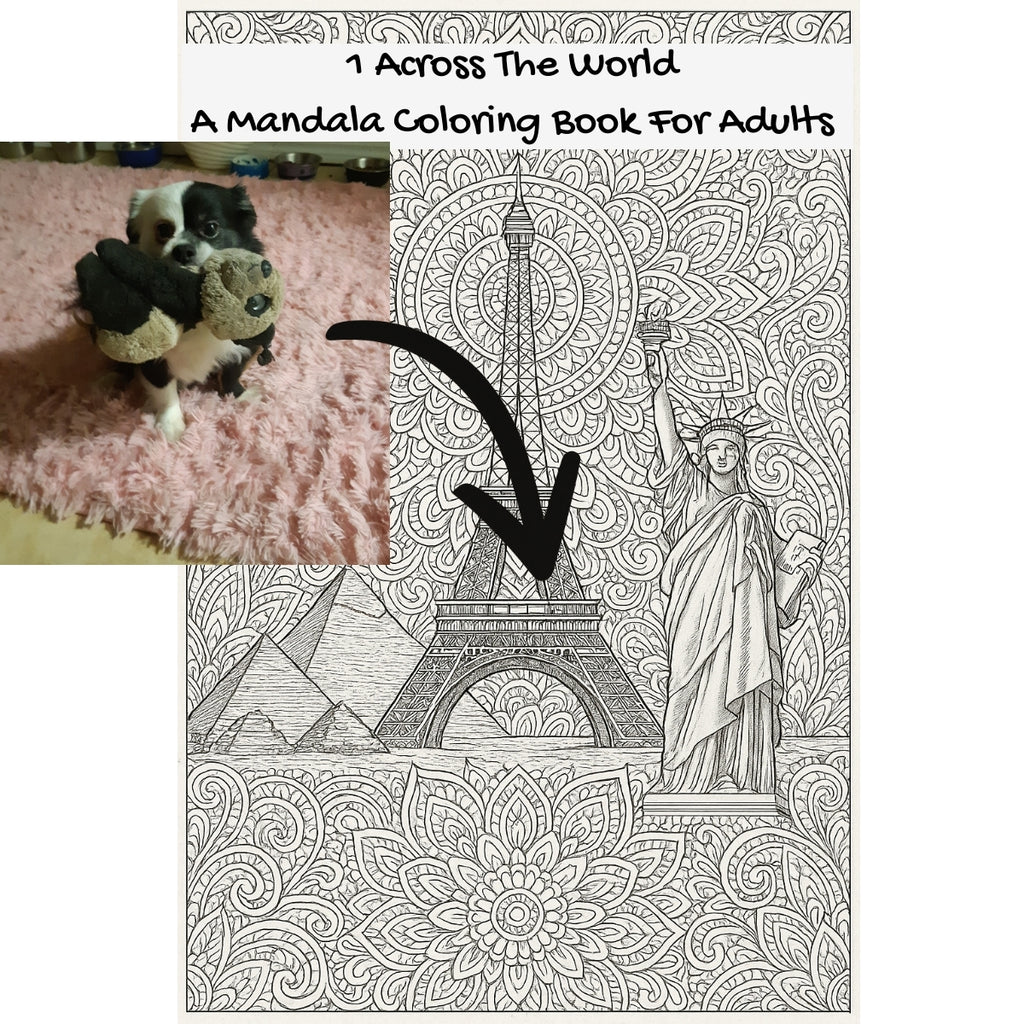 1 Across The World: A Mandala Coloring Book For Adults
