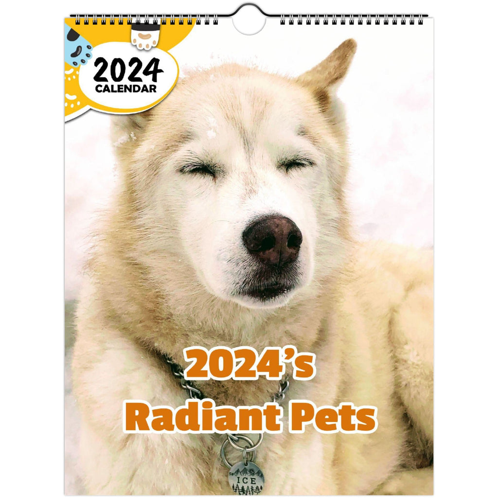 2024's Radiant Pets: 2024 Wall Calendar (Published)