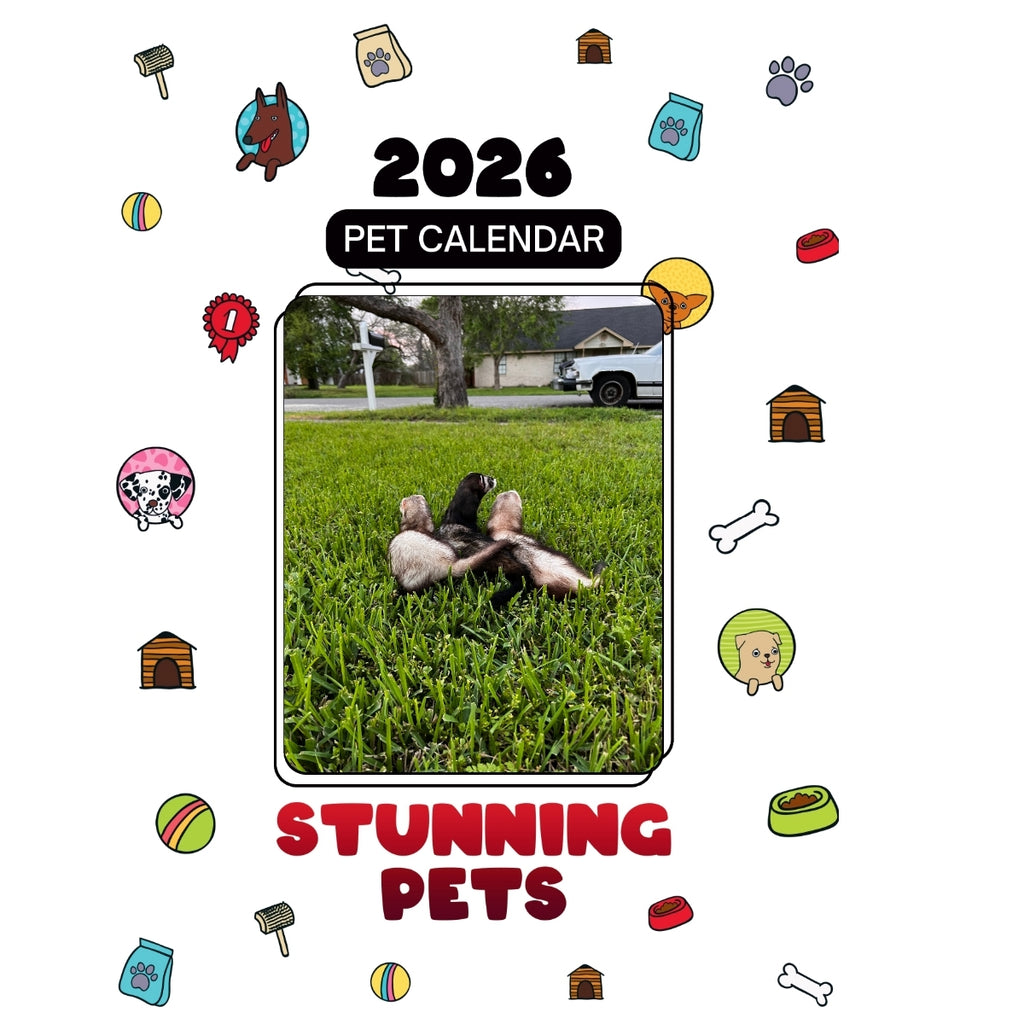 Ferrets Headlines Stunning Pets: A 2026 Pet Calendar