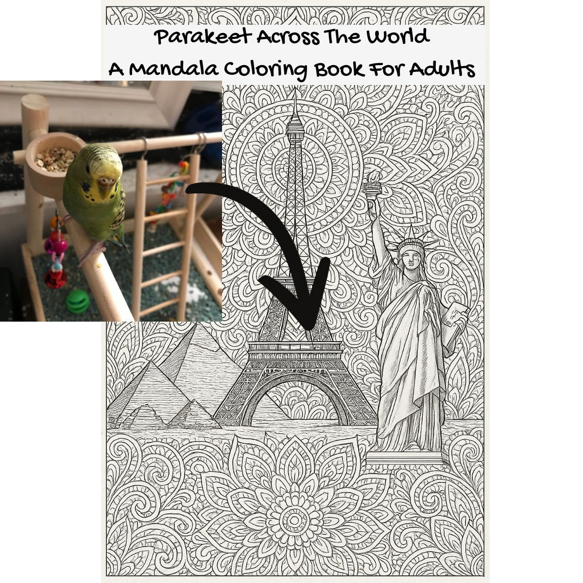 Parakeet Across The World: A Mandala Coloring Book For Adults