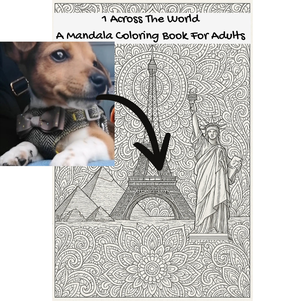 1 Across The World: A Mandala Coloring Book For Adults