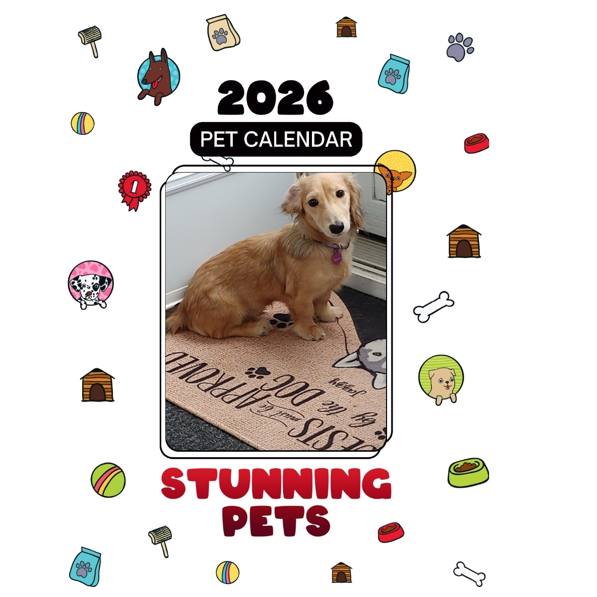 1 Headlines Stunning Pets: A 2026 Pet Calendar
