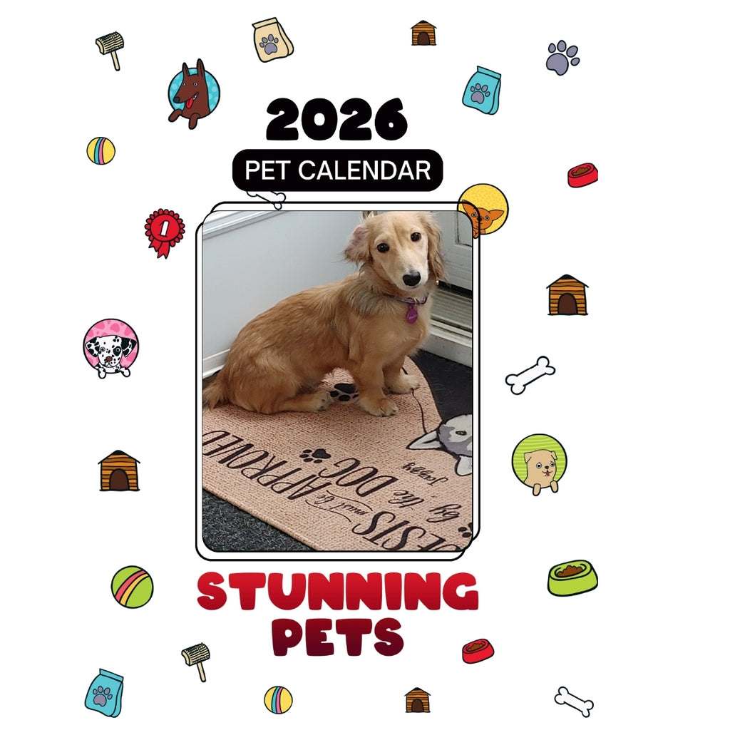 1 Headlines Stunning Pets: A 2026 Pet Calendar