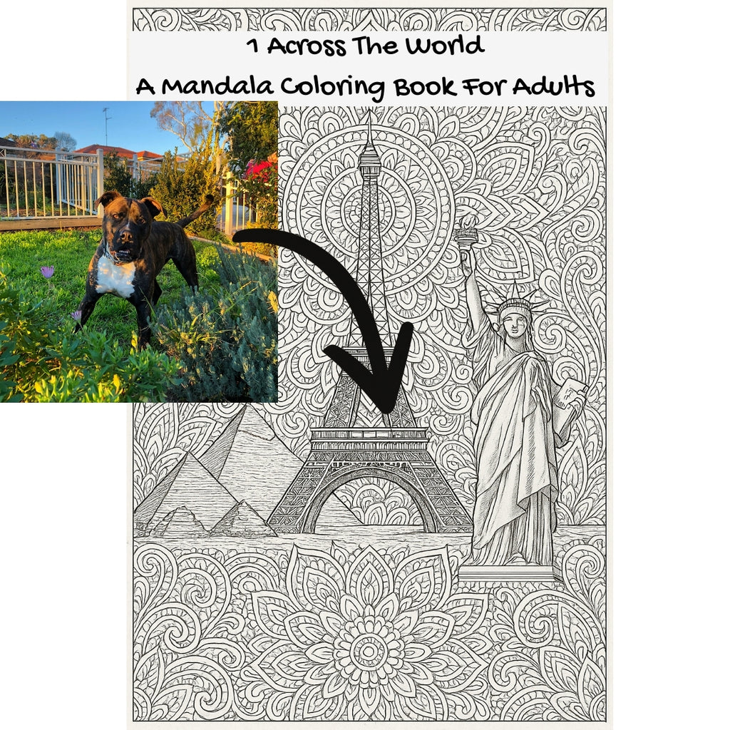 1 Across The World: A Mandala Coloring Book For Adults
