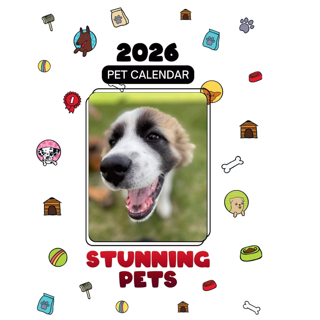 1 Headlines Stunning Pets: A 2026 Pet Calendar