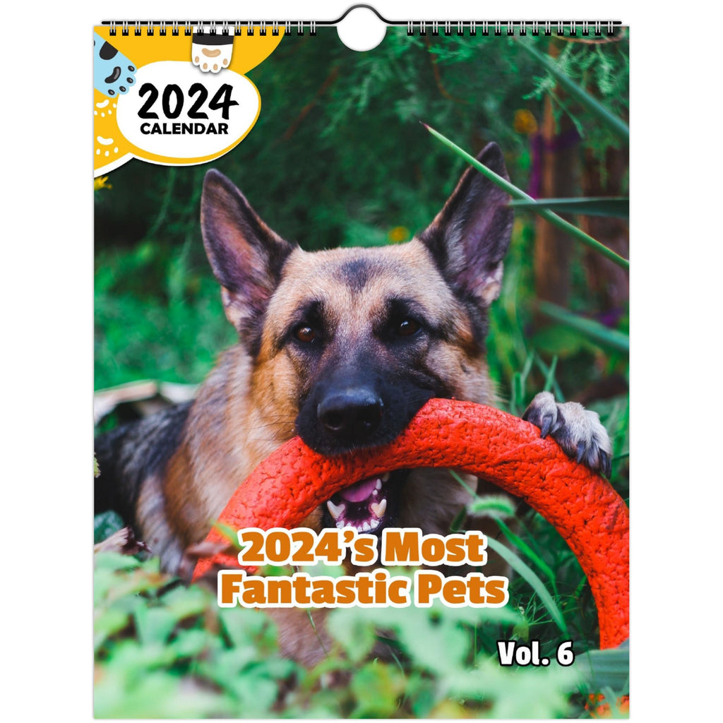 2024's Most Fantastic Pets Volume Six: 2024 Wall Calendar (Published)