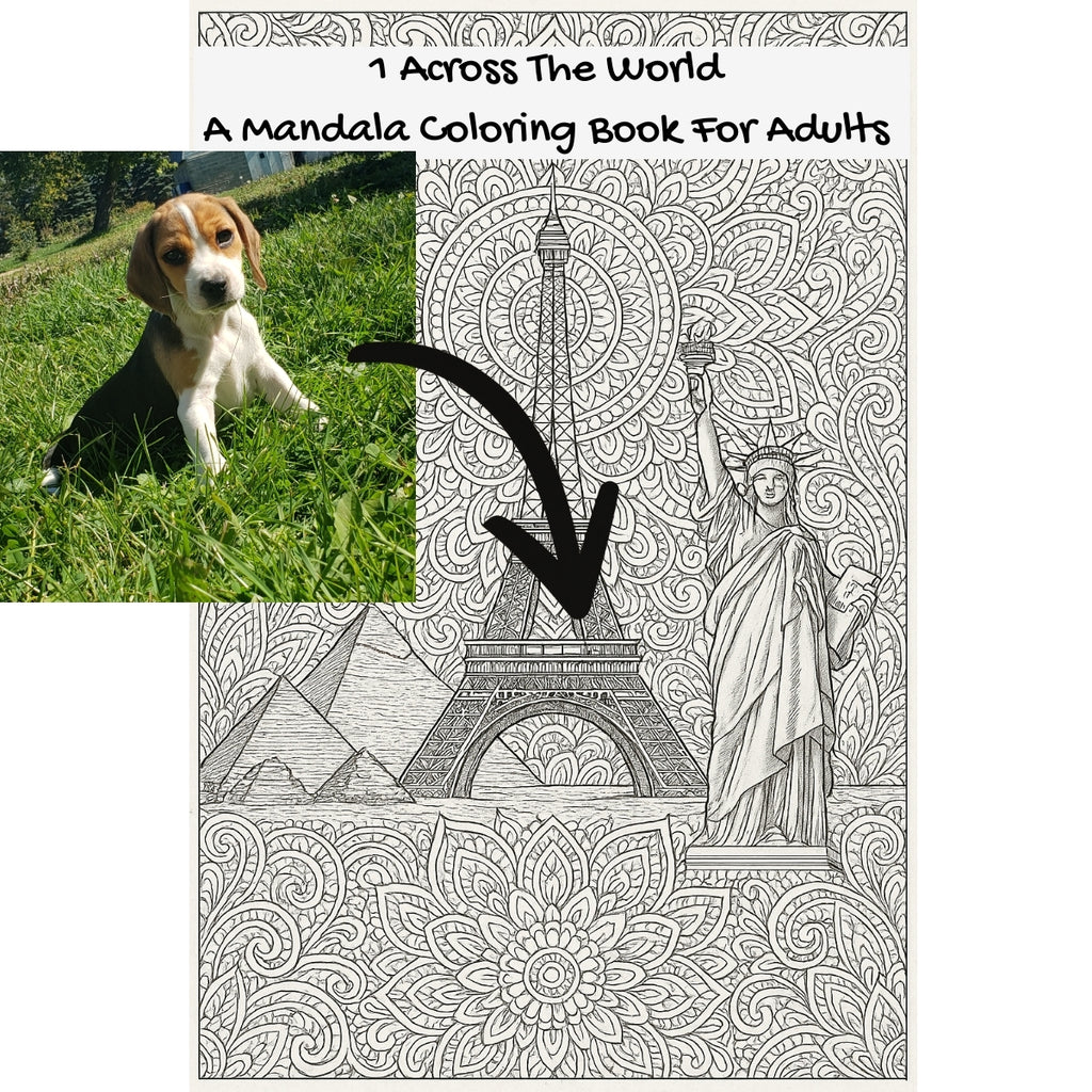 1 Across The World: A Mandala Coloring Book For Adults